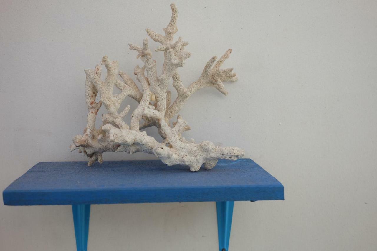 Blue Coral Homestay การีมุนยาวา ภายนอก รูปภาพ