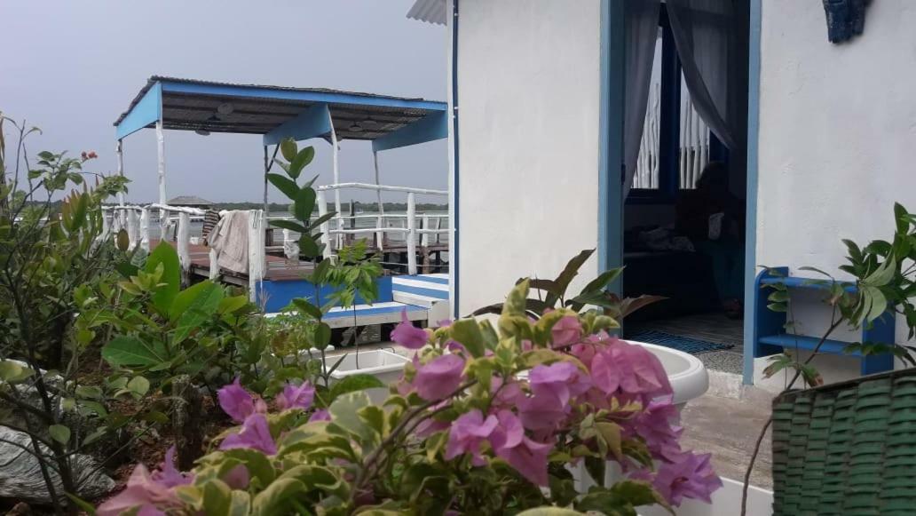 Blue Coral Homestay การีมุนยาวา ภายนอก รูปภาพ